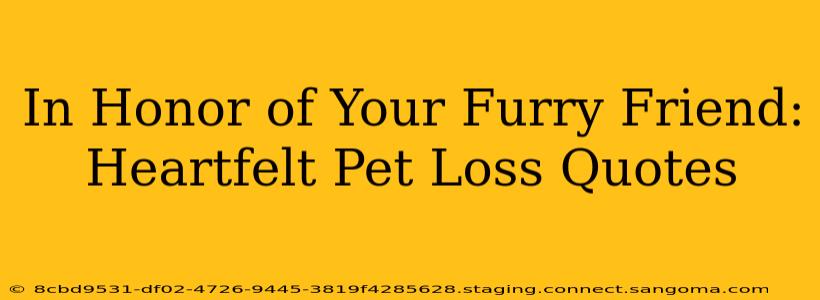 In Honor of Your Furry Friend:  Heartfelt Pet Loss Quotes