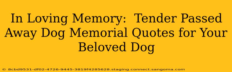 In Loving Memory:  Tender Passed Away Dog Memorial Quotes for Your Beloved Dog