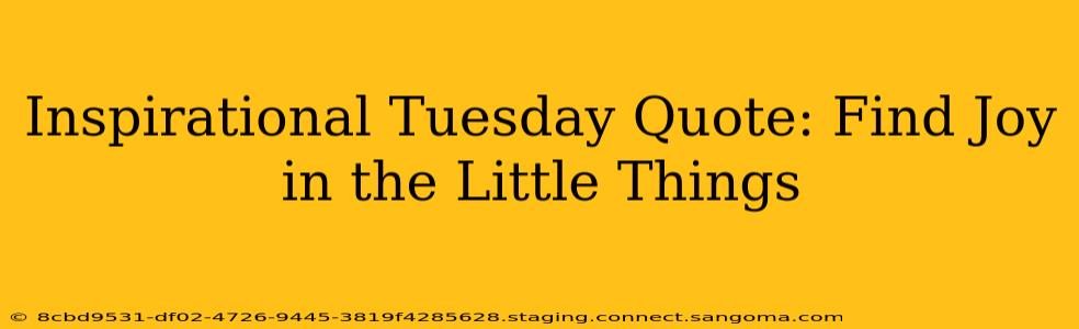 Inspirational Tuesday Quote: Find Joy in the Little Things