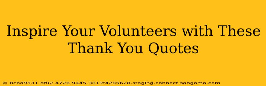 Inspire Your Volunteers with These Thank You Quotes