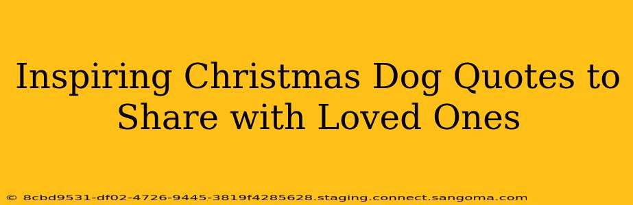 Inspiring Christmas Dog Quotes to Share with Loved Ones