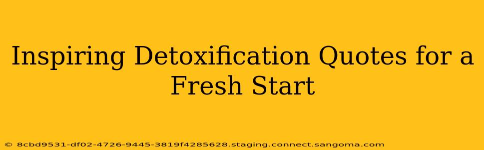 Inspiring Detoxification Quotes for a Fresh Start
