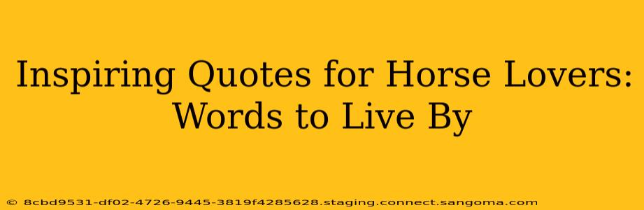 Inspiring Quotes for Horse Lovers: Words to Live By