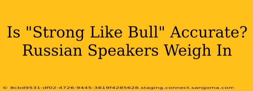 Is "Strong Like Bull" Accurate? Russian Speakers Weigh In
