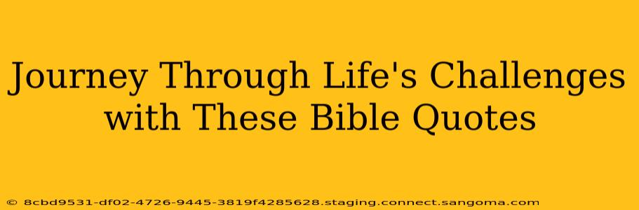 Journey Through Life's Challenges with These Bible Quotes
