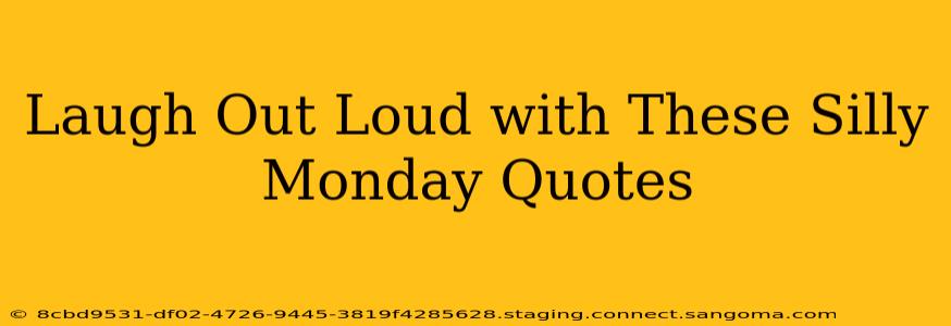 Laugh Out Loud with These Silly Monday Quotes
