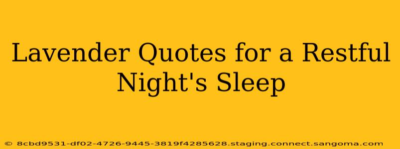 Lavender Quotes for a Restful Night's Sleep