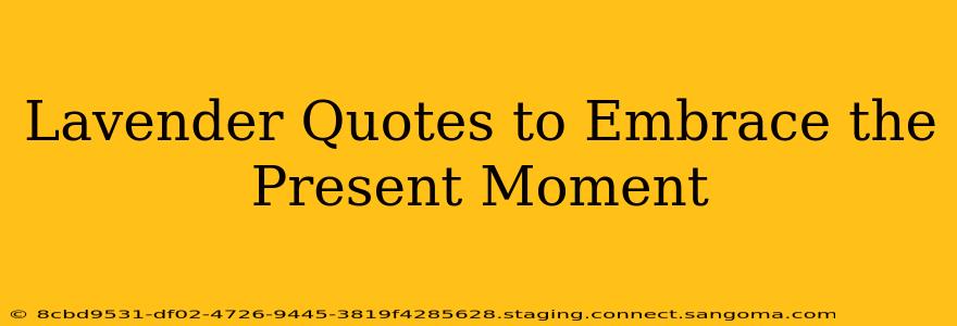 Lavender Quotes to Embrace the Present Moment