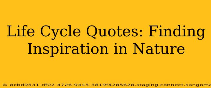 Life Cycle Quotes: Finding Inspiration in Nature