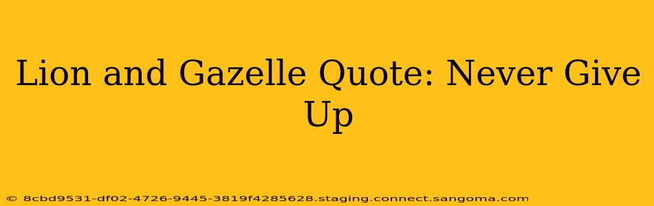 Lion and Gazelle Quote: Never Give Up