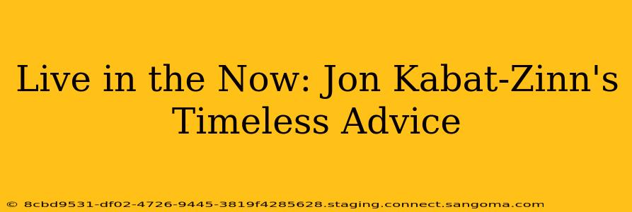 Live in the Now: Jon Kabat-Zinn's Timeless Advice