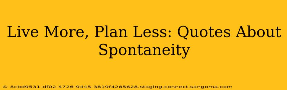 Live More, Plan Less: Quotes About Spontaneity