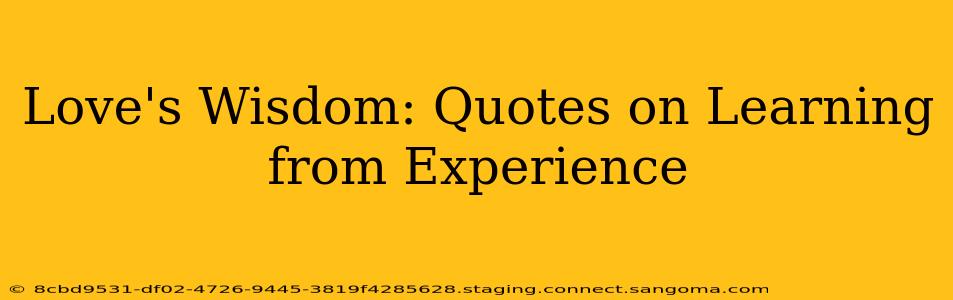 Love's Wisdom: Quotes on Learning from Experience