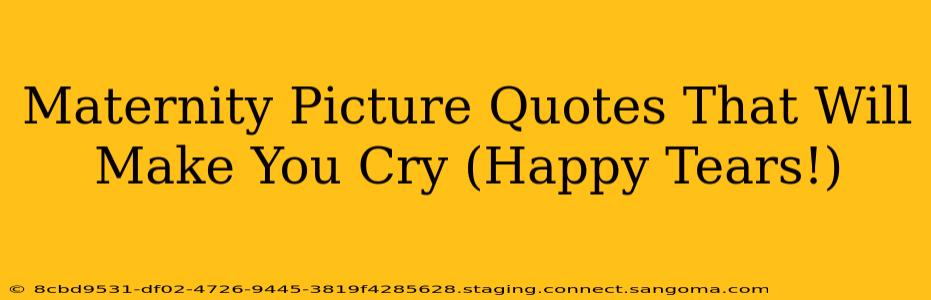 Maternity Picture Quotes That Will Make You Cry (Happy Tears!)