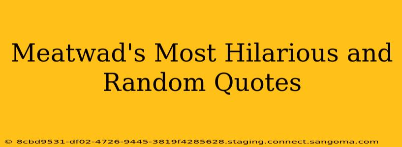 Meatwad's Most Hilarious and Random Quotes