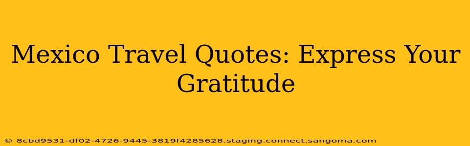 Mexico Travel Quotes: Express Your Gratitude