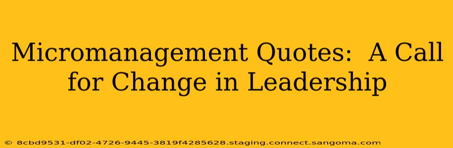 Micromanagement Quotes:  A Call for Change in Leadership