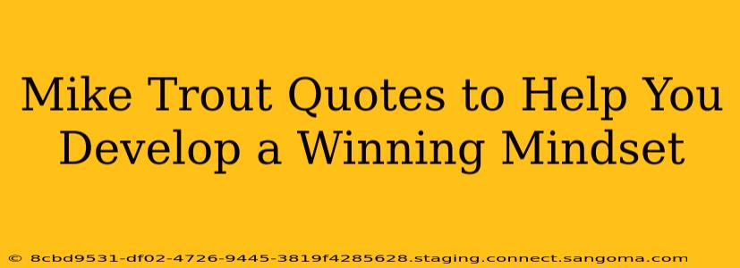 Mike Trout Quotes to Help You Develop a Winning Mindset