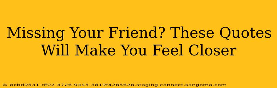 Missing Your Friend? These Quotes Will Make You Feel Closer