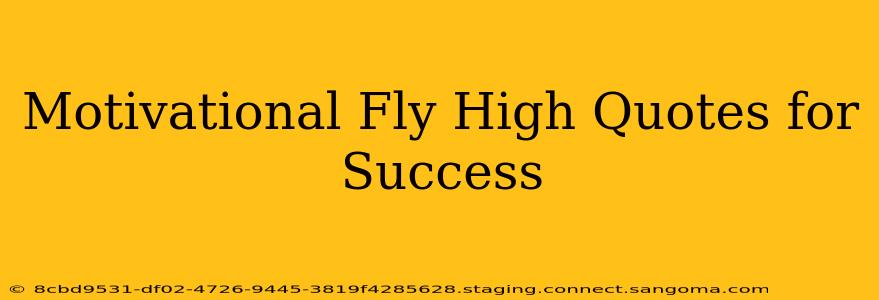 Motivational Fly High Quotes for Success