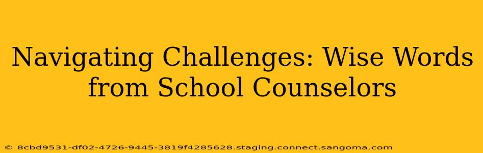 Navigating Challenges: Wise Words from School Counselors