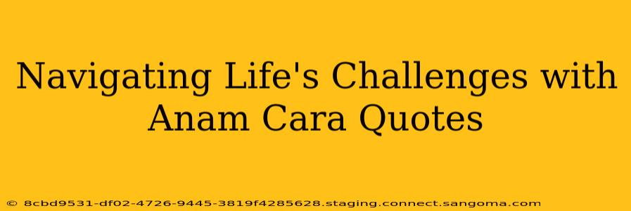 Navigating Life's Challenges with Anam Cara Quotes