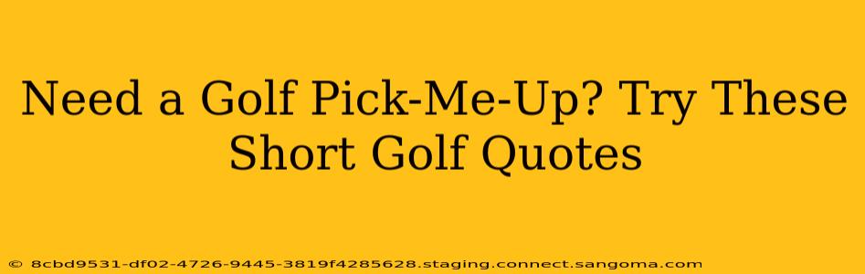 Need a Golf Pick-Me-Up? Try These Short Golf Quotes