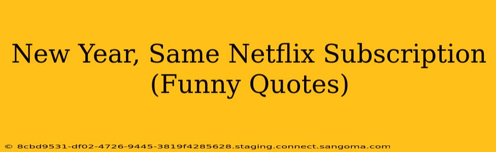 New Year, Same Netflix Subscription (Funny Quotes)