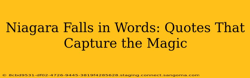 Niagara Falls in Words: Quotes That Capture the Magic