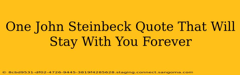 One John Steinbeck Quote That Will Stay With You Forever
