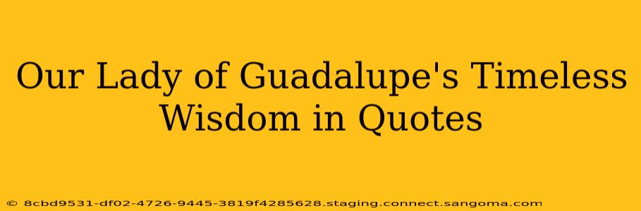 Our Lady of Guadalupe's Timeless Wisdom in Quotes