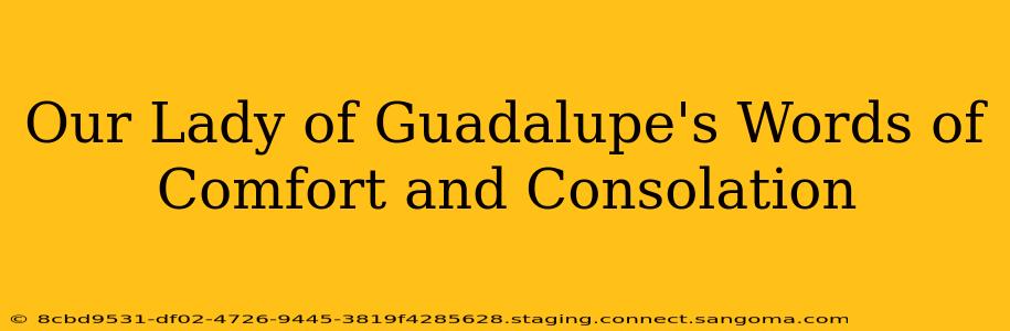 Our Lady of Guadalupe's Words of Comfort and Consolation