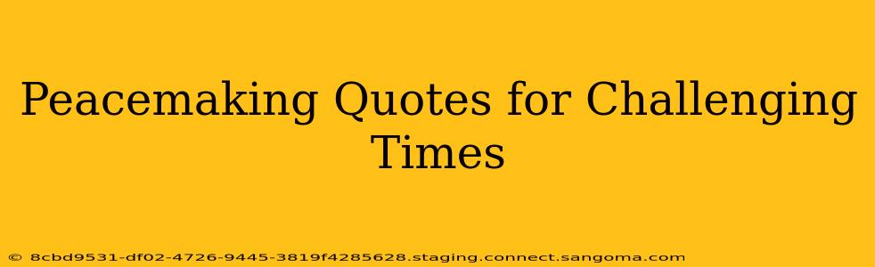 Peacemaking Quotes for Challenging Times