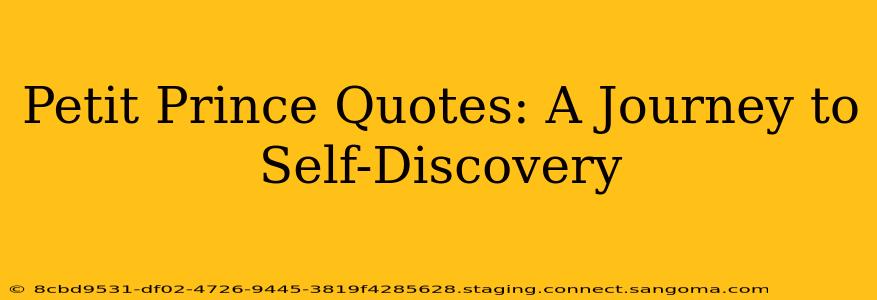 Petit Prince Quotes: A Journey to Self-Discovery