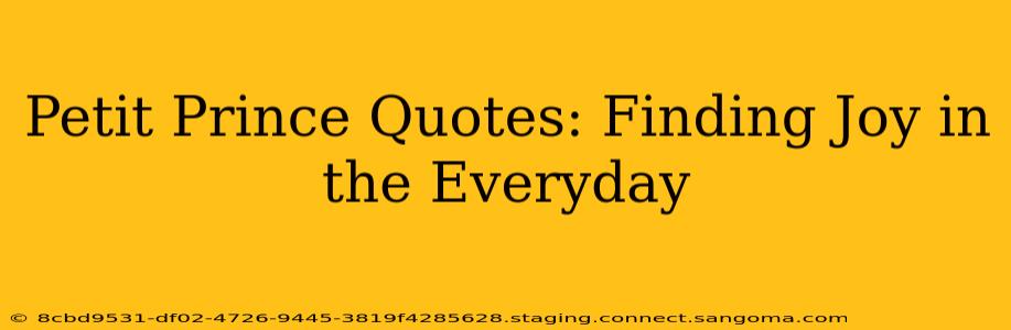 Petit Prince Quotes: Finding Joy in the Everyday