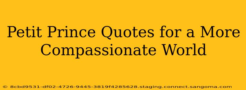 Petit Prince Quotes for a More Compassionate World