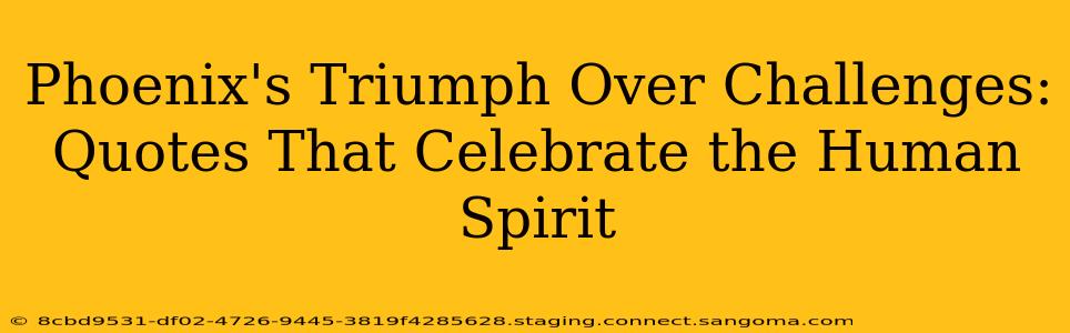 Phoenix's Triumph Over Challenges: Quotes That Celebrate the Human Spirit