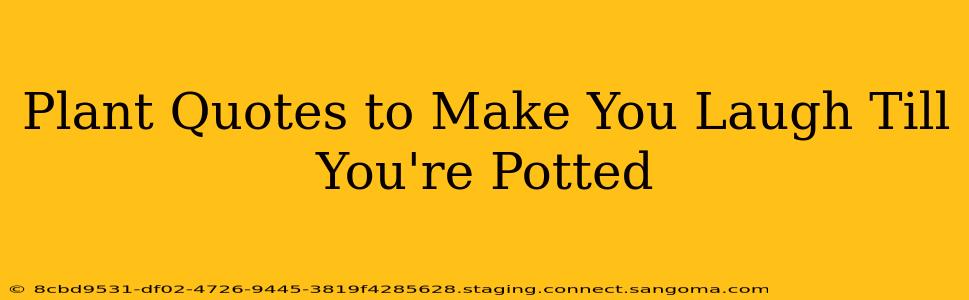 Plant Quotes to Make You Laugh Till You're Potted