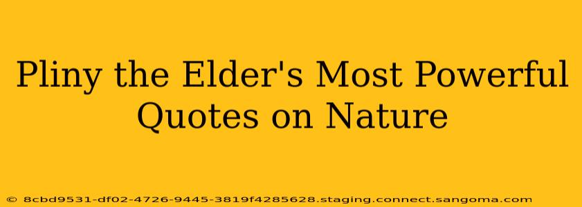 Pliny the Elder's Most Powerful Quotes on Nature