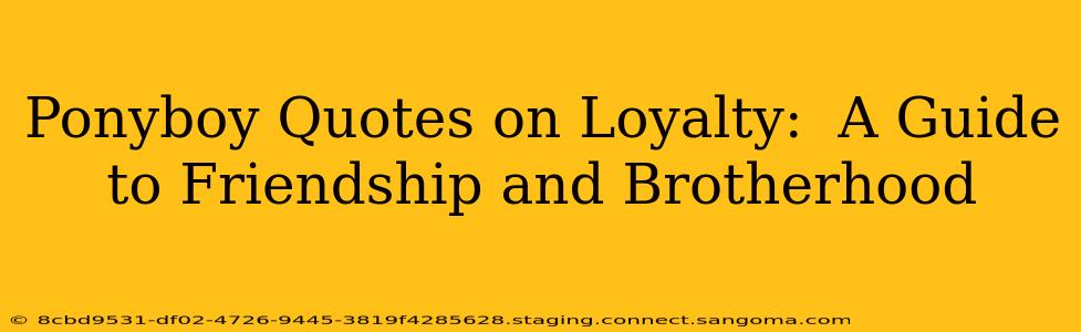 Ponyboy Quotes on Loyalty:  A Guide to Friendship and Brotherhood