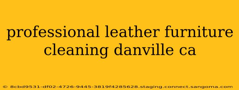 professional leather furniture cleaning danville ca