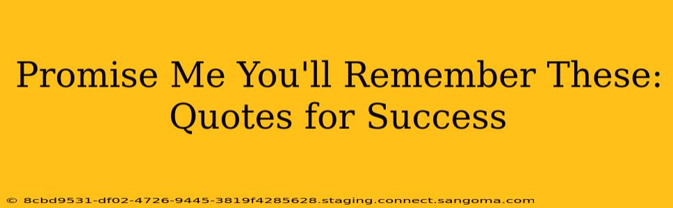 Promise Me You'll Remember These: Quotes for Success