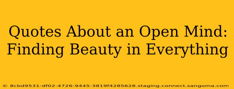 Quotes About an Open Mind:  Finding Beauty in Everything