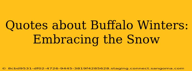 Quotes about Buffalo Winters: Embracing the Snow