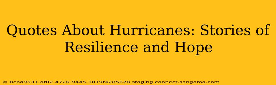 Quotes About Hurricanes: Stories of Resilience and Hope