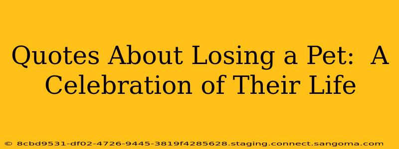 Quotes About Losing a Pet:  A Celebration of Their Life