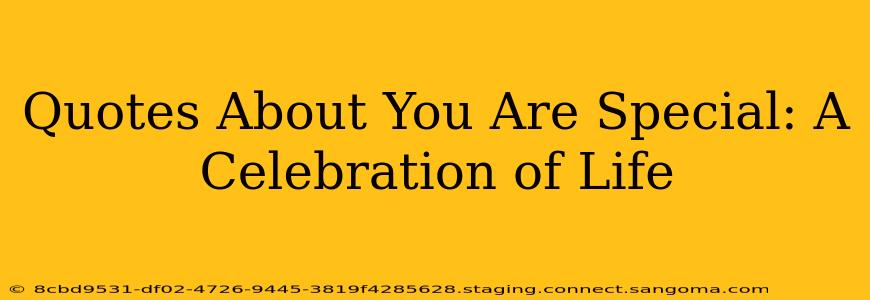 Quotes About You Are Special: A Celebration of Life