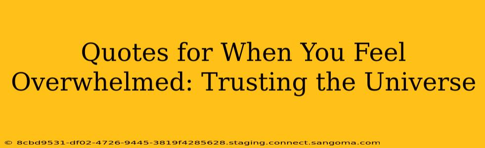 Quotes for When You Feel Overwhelmed: Trusting the Universe