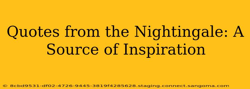 Quotes from the Nightingale: A Source of Inspiration