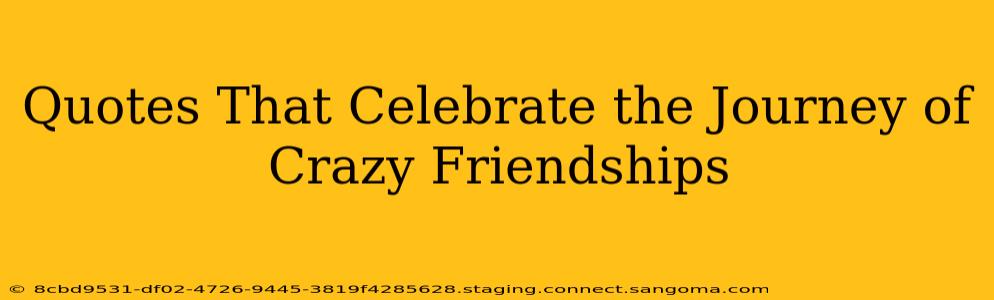 Quotes That Celebrate the Journey of Crazy Friendships